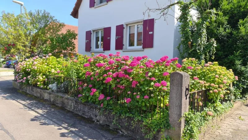 Überzeugt? Noch heute buchen!